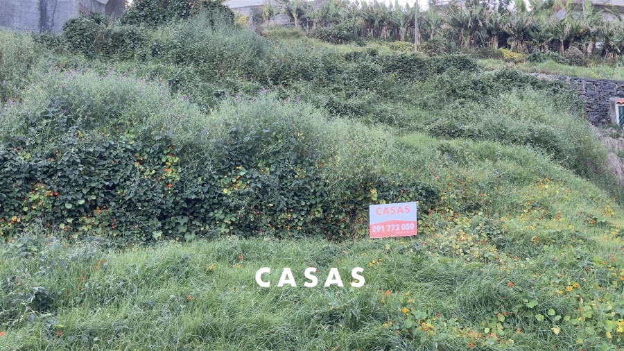 Terreno para Venda em Monte Foto 5