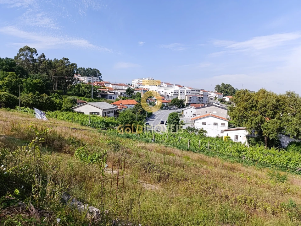 Terreno para Venda em Silvares, Pias, Nogueira e Alvarenga Foto 11