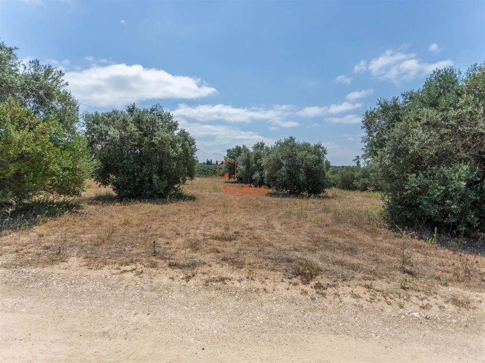 Terreno Agricola ou Rústico para Venda em Brogueira, Parceiros de Igreja e Alcorochel Foto 9