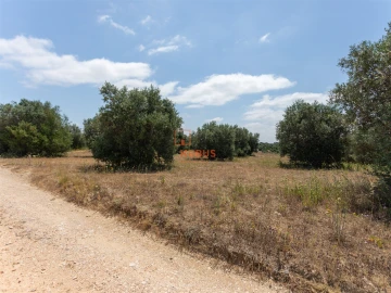 Terreno Agricola ou Rústico para Venda em Brogueira, Parceiros de Igreja e Alcorochel
