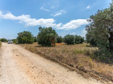 Terreno Agricola ou Rústico para Venda em Brogueira, Parceiros de Igreja e Alcorochel