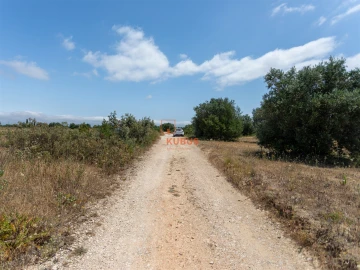 Terreno Agricola ou Rústico para Venda em Brogueira, Parceiros de Igreja e Alcorochel