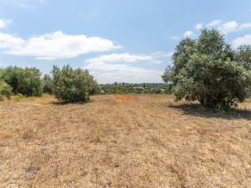 Terreno Agricola ou Rústico para Venda em Brogueira, Parceiros de Igreja e Alcorochel