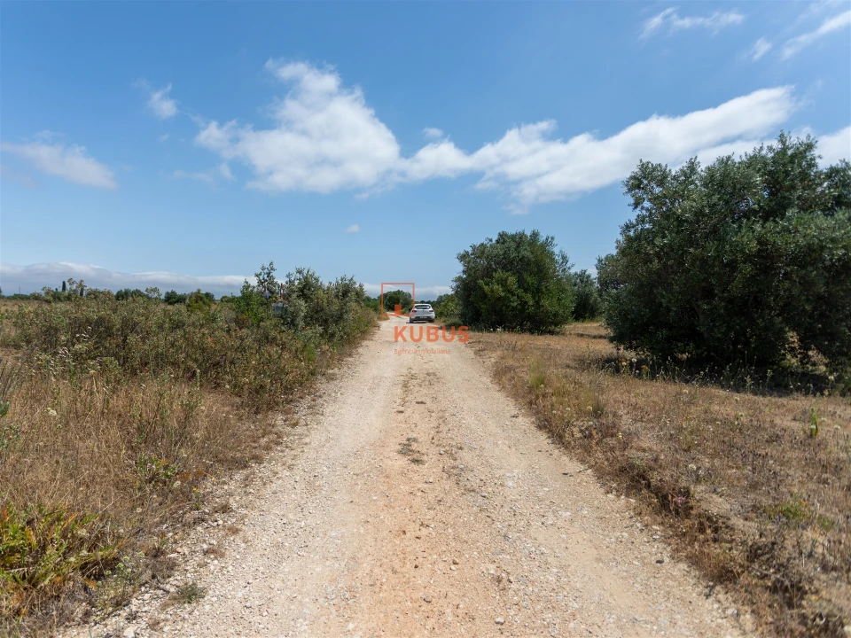 Terreno Agricola ou Rústico para Venda em Brogueira, Parceiros de Igreja e Alcorochel Foto 11