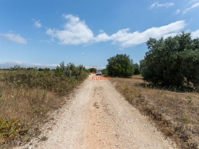 Terreno Agricola ou Rústico para Venda em Brogueira, Parceiros de Igreja e Alcorochel Foto 11