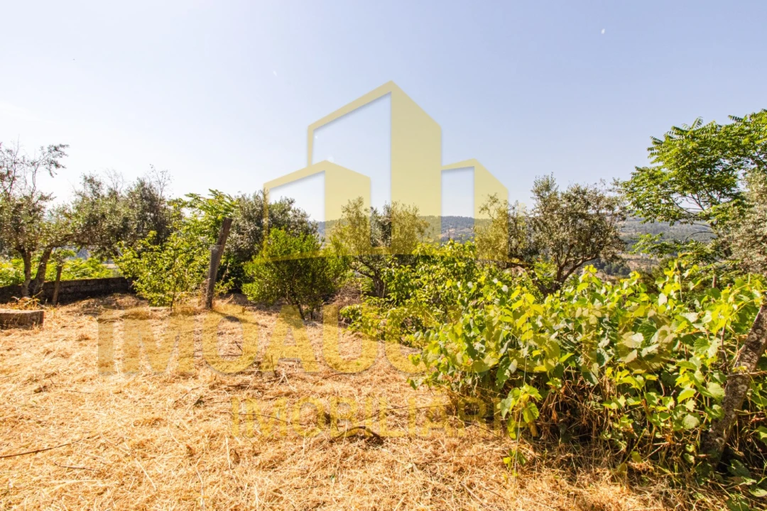 Moradia T4 para Venda em São Pedro e Santa Maria e Vila Boa do Mondego Foto 26