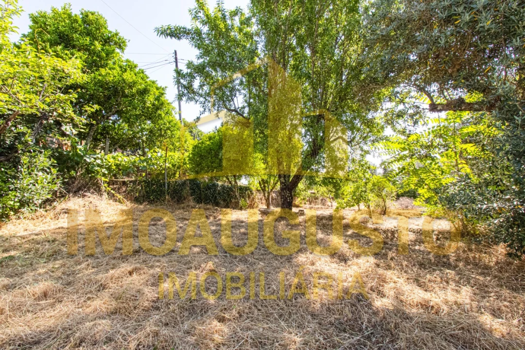 Moradia T4 para Venda em São Pedro e Santa Maria e Vila Boa do Mondego Foto 27