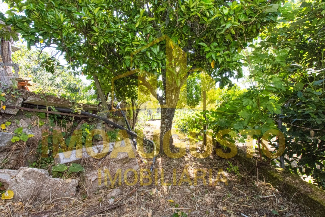 Moradia T4 para Venda em São Pedro e Santa Maria e Vila Boa do Mondego Foto 29