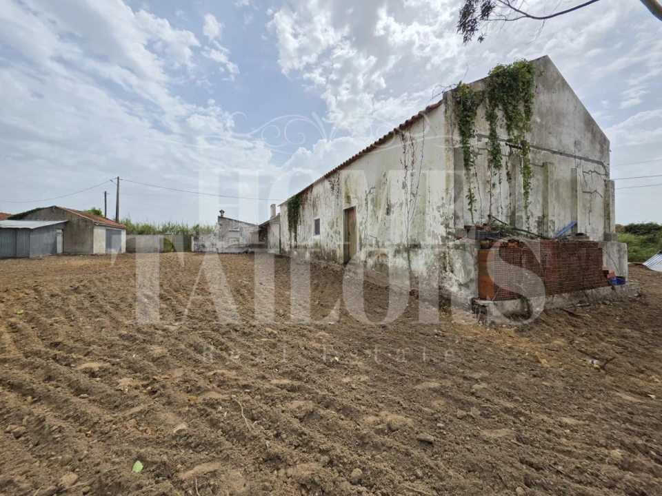 Moradia T2 para Venda em Santa Barbara Foto 4