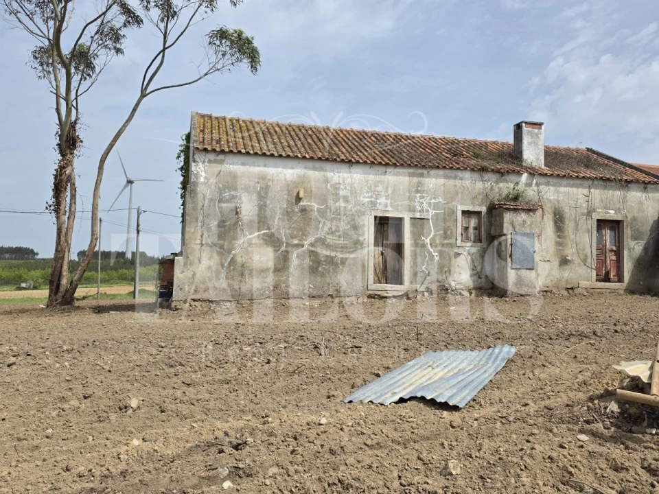 Moradia T2 para Venda em Santa Barbara Foto 11
