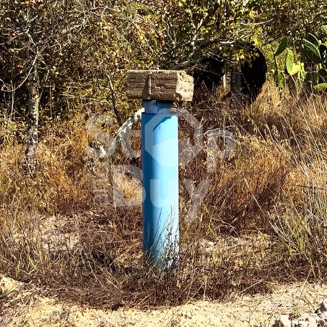 Terreno Misto para Venda em São Domingos e Vale de Água Foto 18