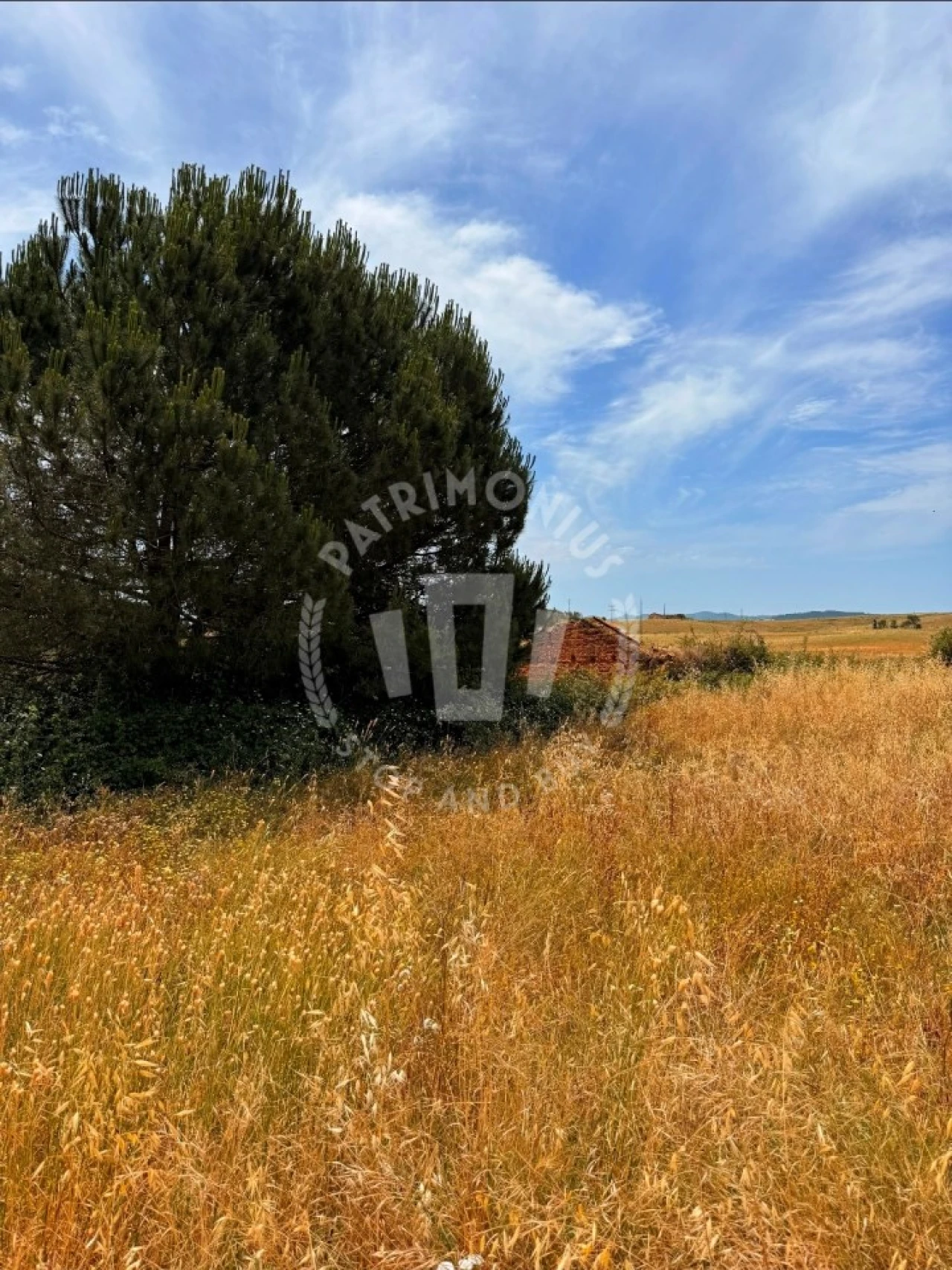 Quinta T2 para Venda em Cercal Foto 4
