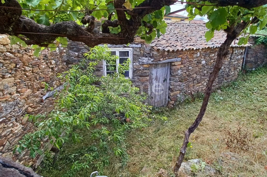 Quinta T6 para Venda em Friúmes e Paradela Foto 1