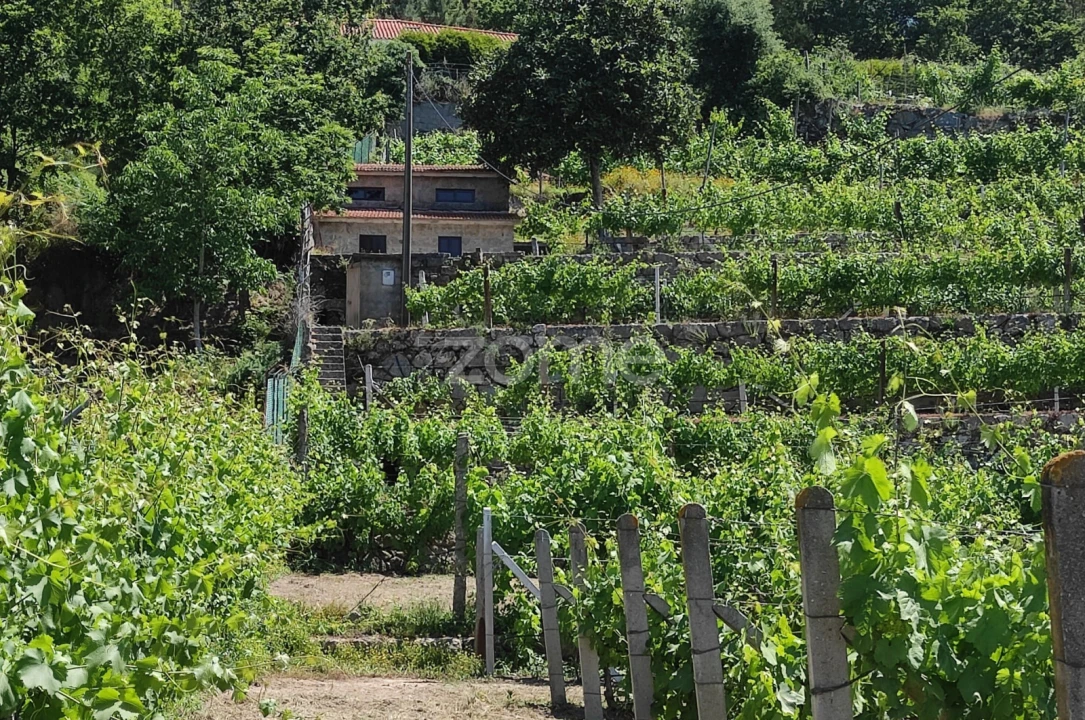 Terreno para Venda em Souselo Foto 7