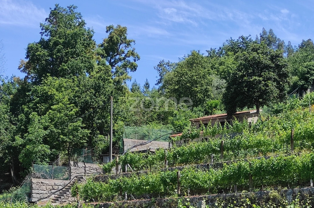 Terreno para Venda em Souselo Foto 8