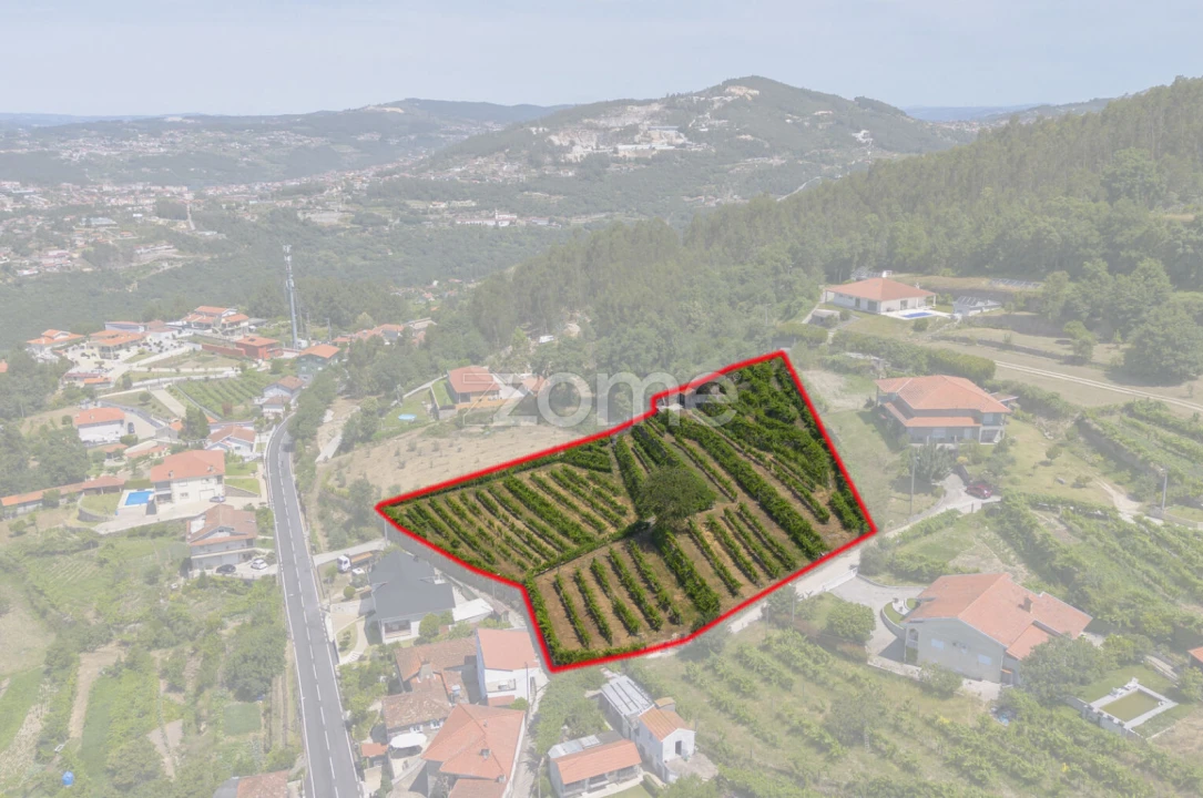 Terreno para Venda em Souselo Foto 2