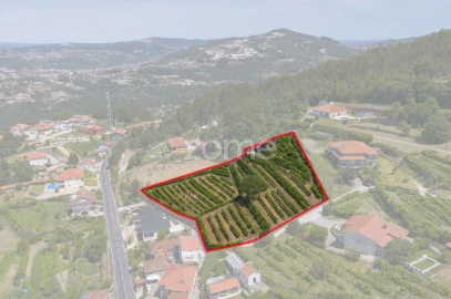 Terreno para Venda em Souselo