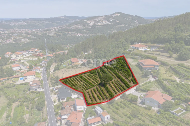 Terreno para Venda em Souselo Foto 2
