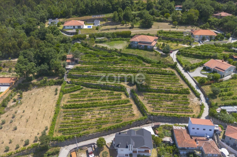 Terreno para Venda em Souselo
