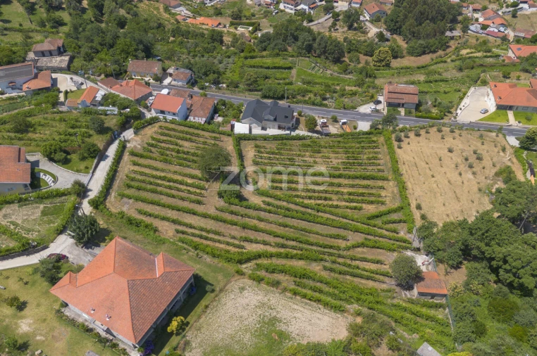 Terreno para Venda em Souselo Foto 13