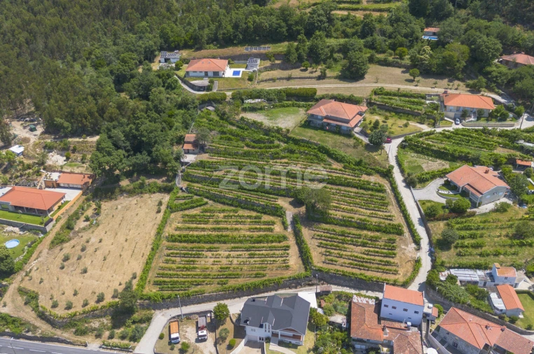 Terreno para Venda em Souselo Foto 14