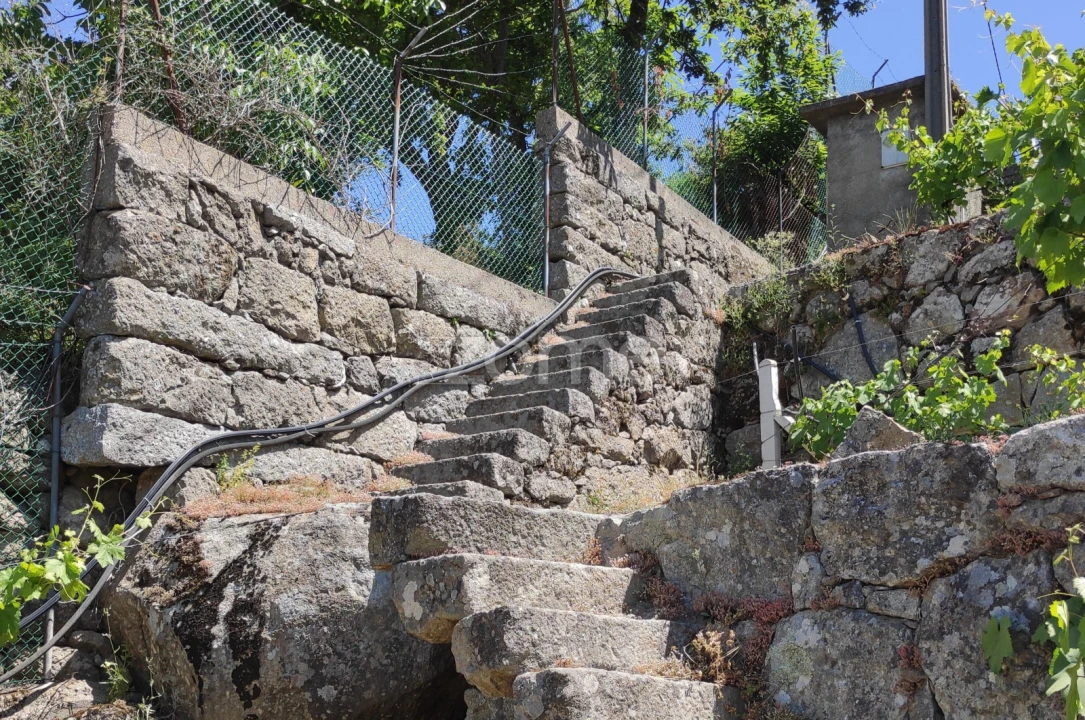 Terreno para Venda em Souselo Foto 6