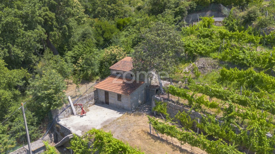 Terreno para Venda em Souselo
