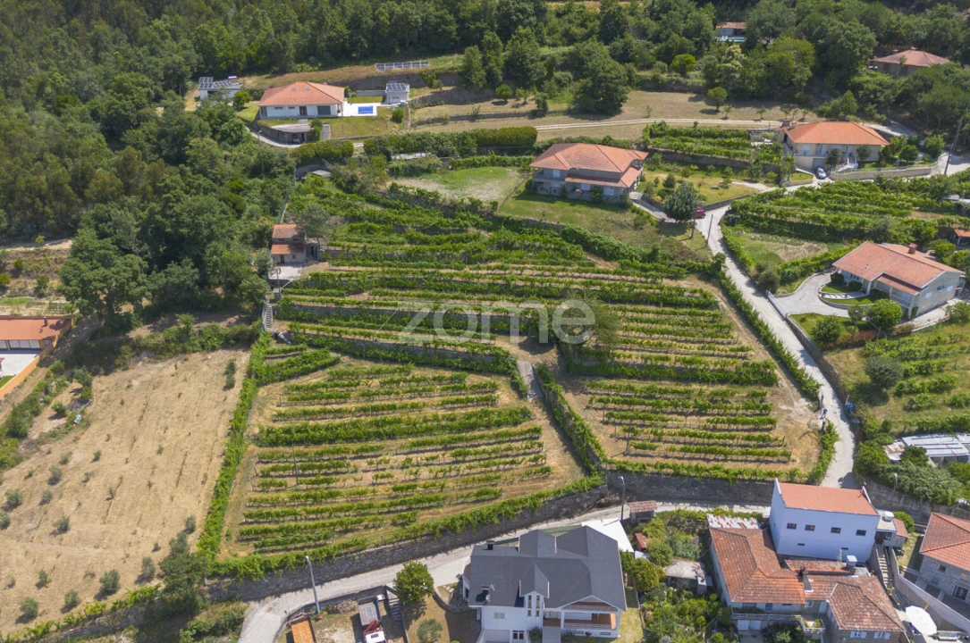 Terreno para Venda em Souselo Foto 1