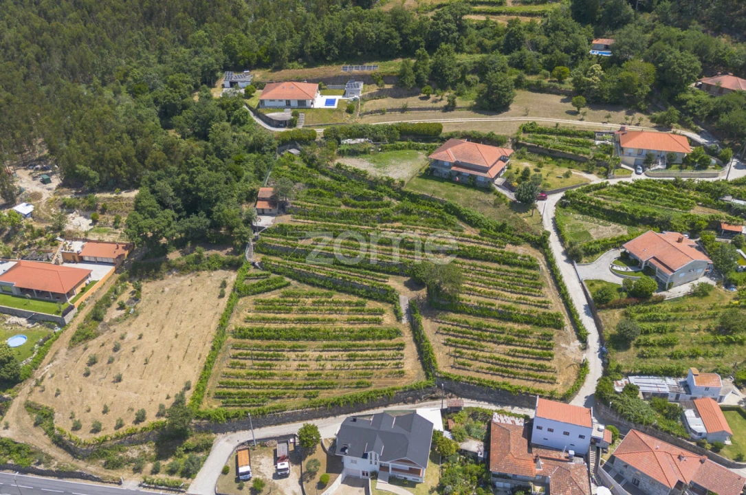 Terreno para Venda em Souselo Foto 14