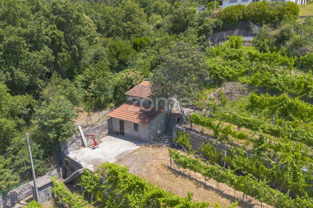 Terreno para Venda em Souselo Foto 3