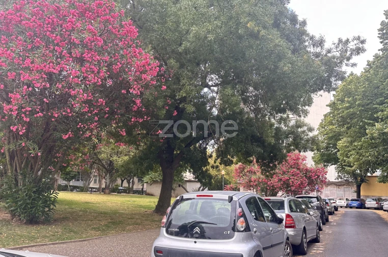 Prédio para Venda em Estrela Foto 12
