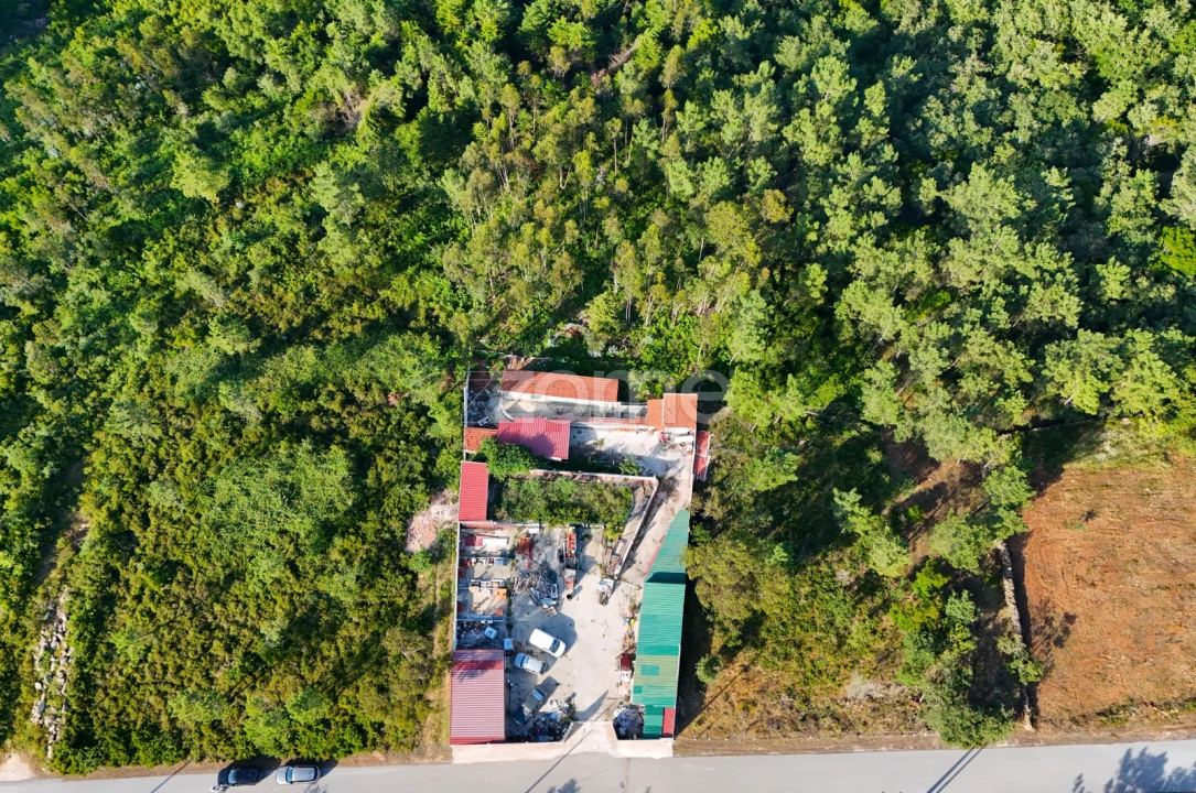 Terreno para Venda em Assafarge e Antanhol Foto 3