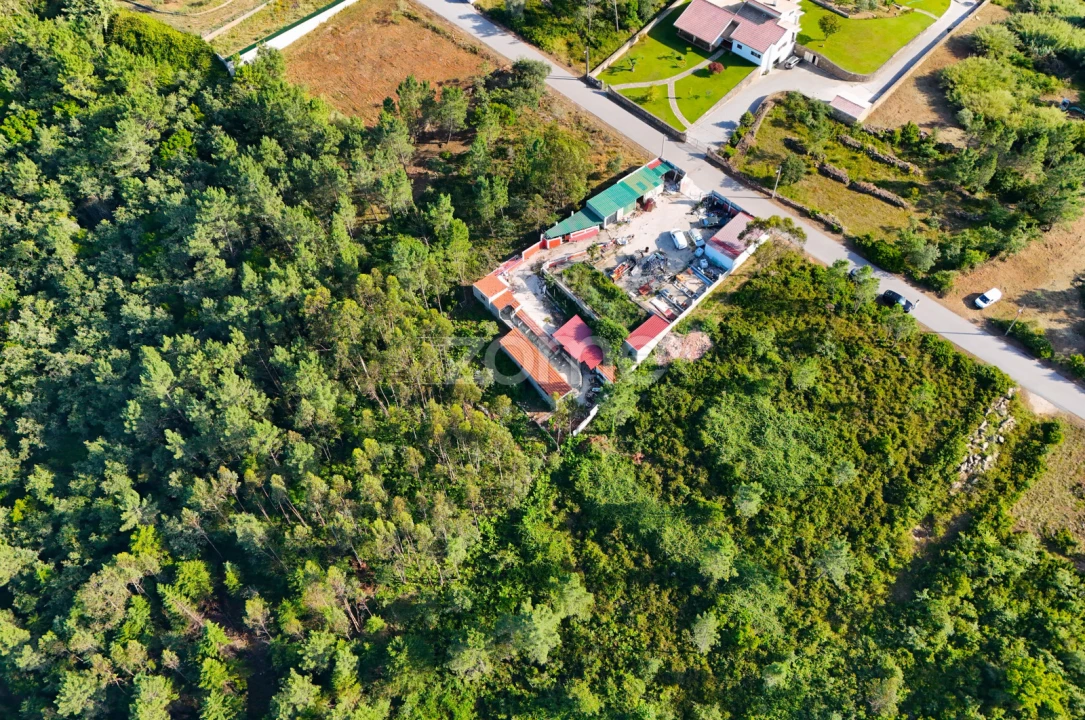 Terreno para Venda em Assafarge e Antanhol Foto 4