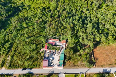 Terreno para Venda em Assafarge e Antanhol