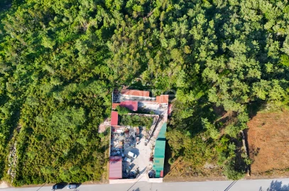 Terreno para Venda em Assafarge e Antanhol