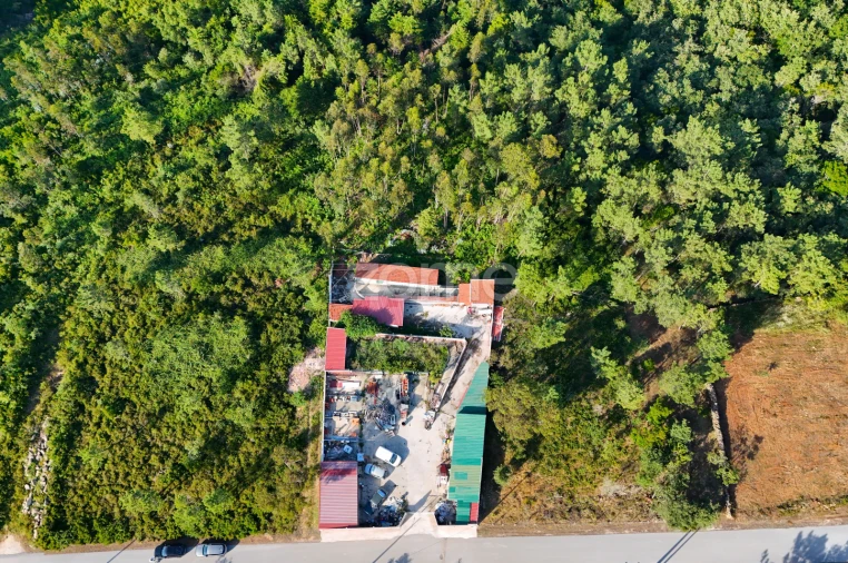 Terreno para Venda em Assafarge e Antanhol Foto 3