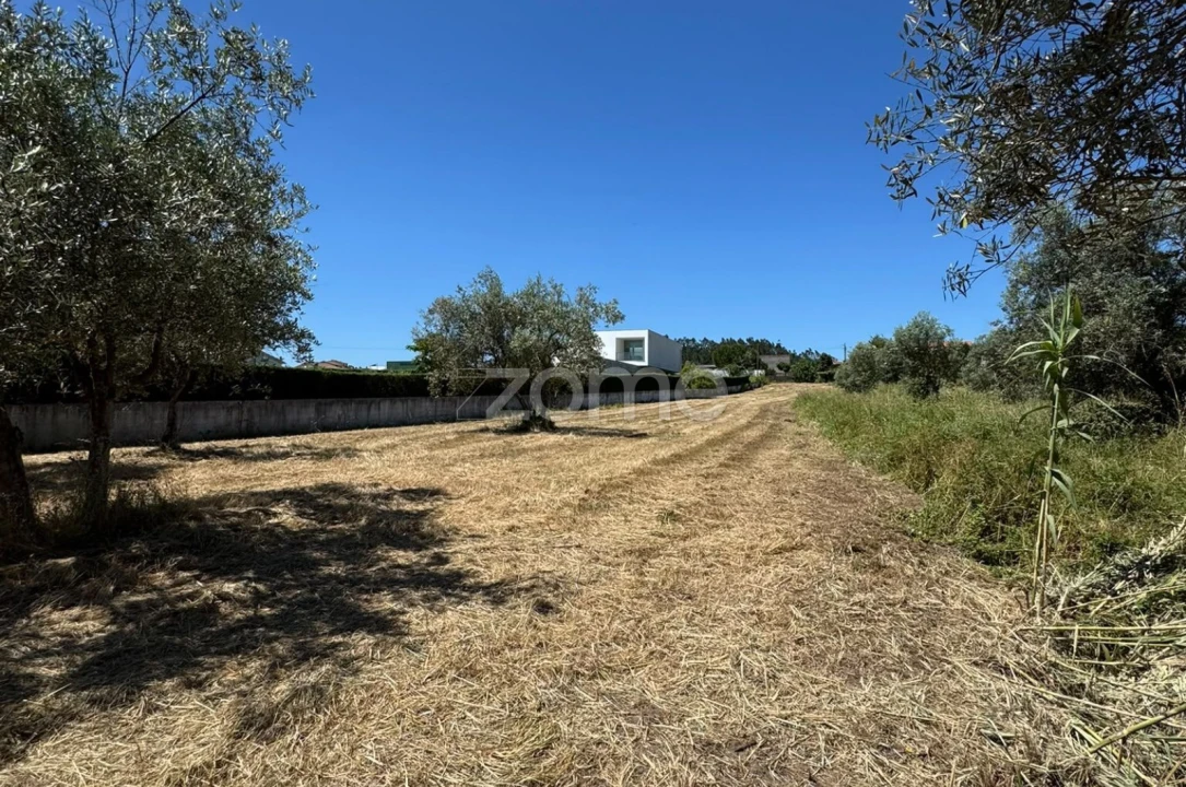 Terreno para Venda em Ega Foto 1