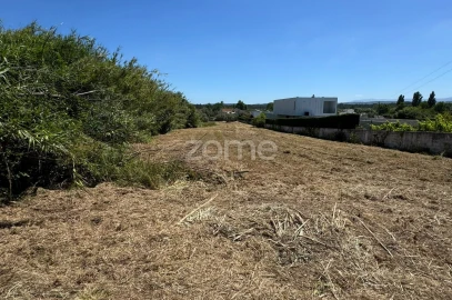 Terreno para Venda em Ega