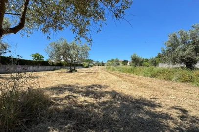 Terreno para Venda em Ega