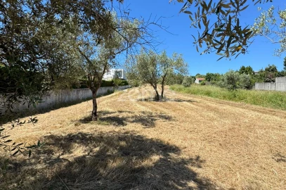 Terreno para Venda em Ega