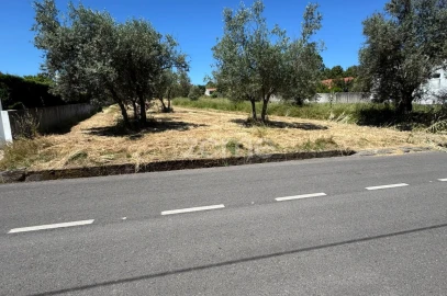 Terreno para Venda em Ega