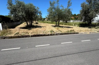 Terreno para Venda em Ega