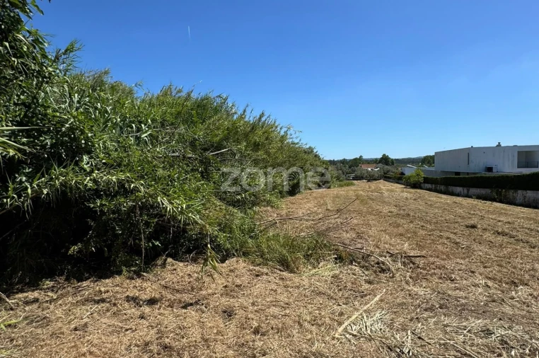 Terreno para Venda em Ega Foto 13