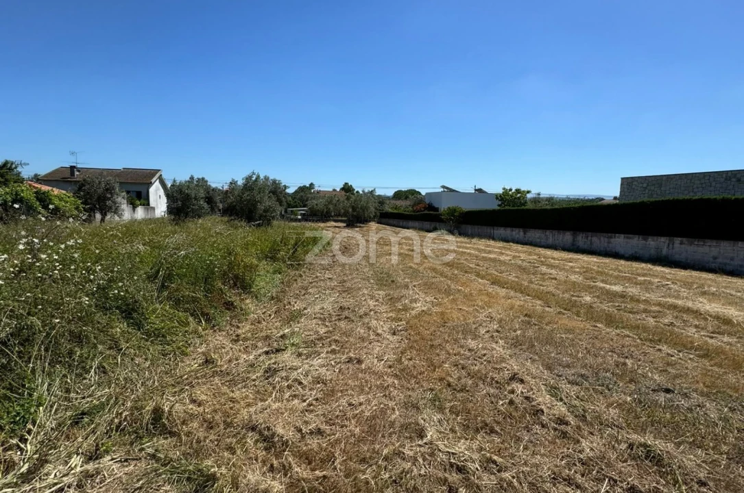 Terreno para Venda em Ega Foto 10