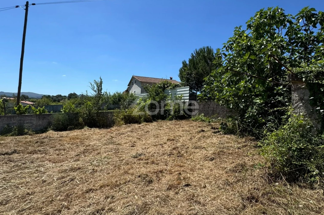 Terreno para Venda em Ega Foto 12