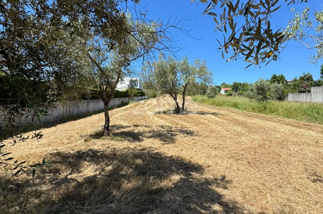 Terreno para Venda em Ega Foto 4