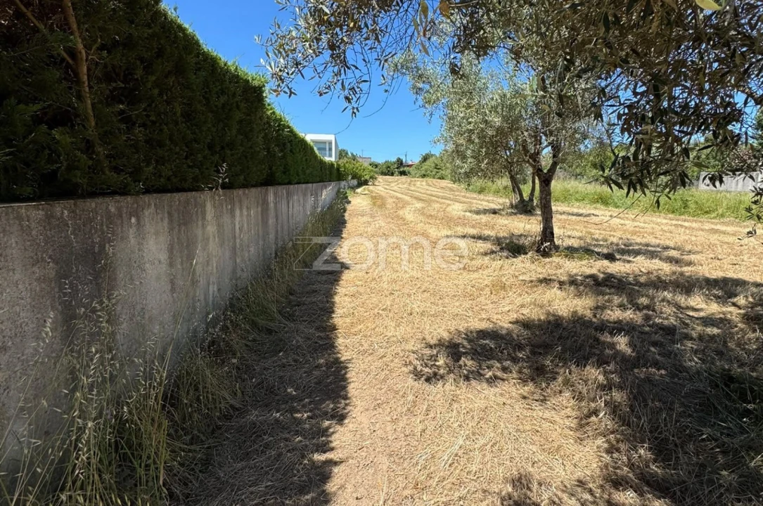Terreno para Venda em Ega Foto 5