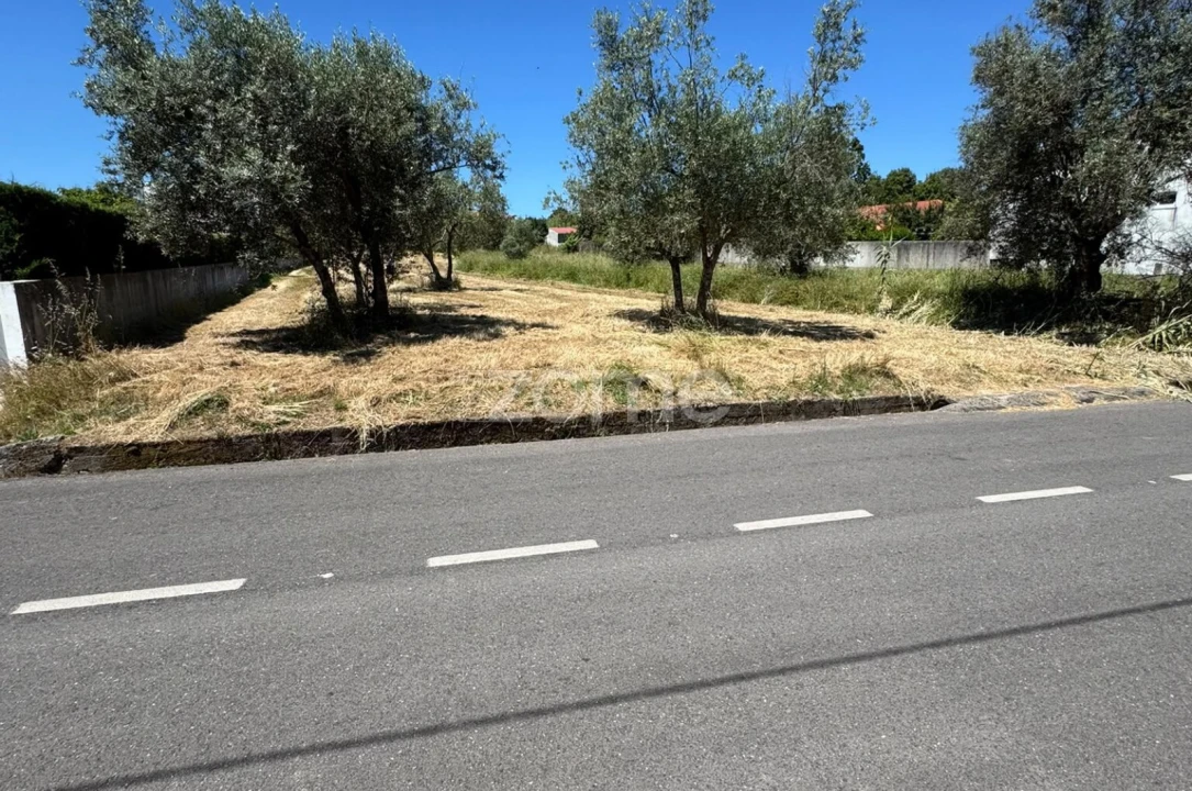 Terreno para Venda em Ega Foto 14