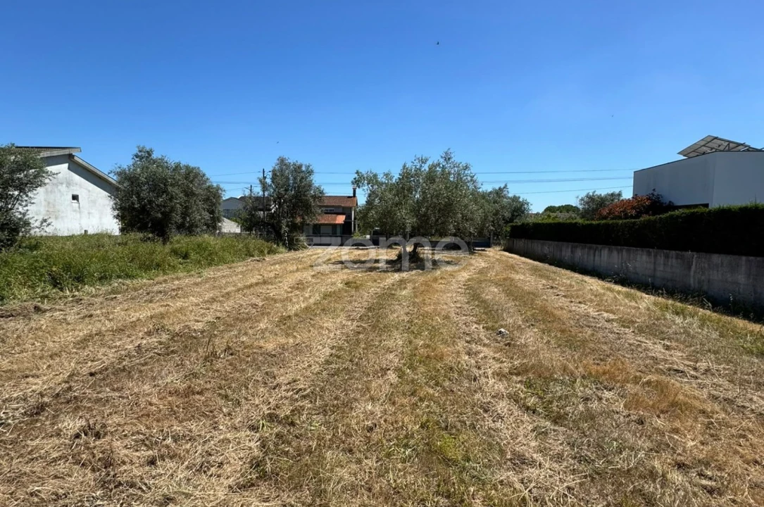 Terreno para Venda em Ega Foto 7
