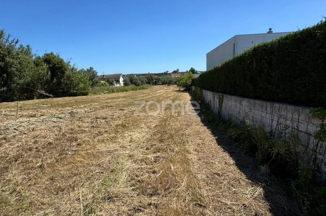 Terreno para Venda em Ega Foto 9